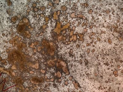 Professional emergency water extraction services services in Warren - water damage restoration service